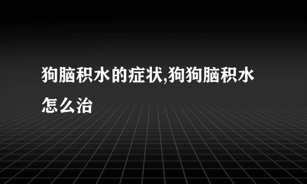 狗脑积水的症状,狗狗脑积水怎么治