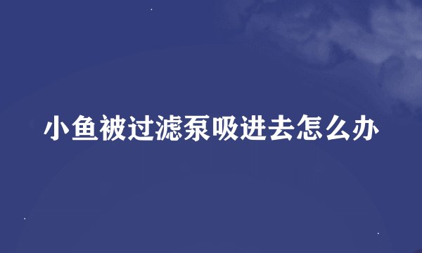 小鱼被过滤泵吸进去怎么办
