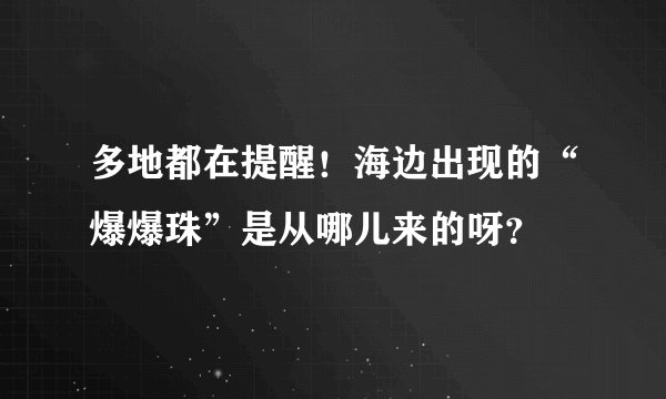 多地都在提醒！海边出现的“爆爆珠”是从哪儿来的呀？
