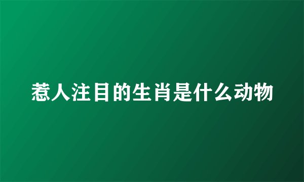 惹人注目的生肖是什么动物