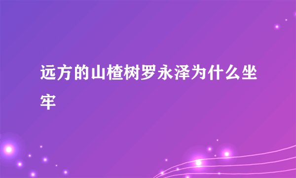 远方的山楂树罗永泽为什么坐牢