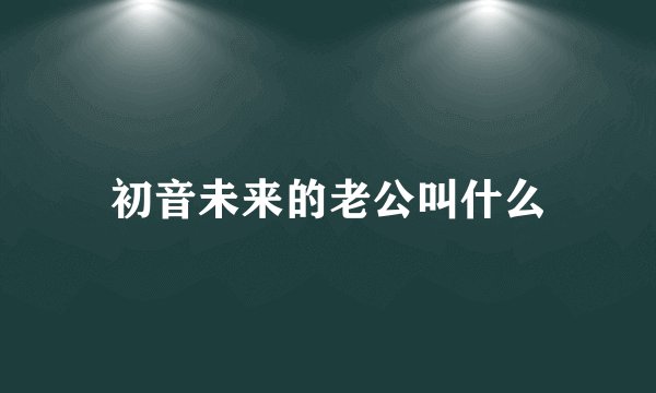 初音未来的老公叫什么
