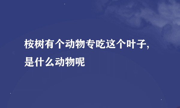 桉树有个动物专吃这个叶子,是什么动物呢