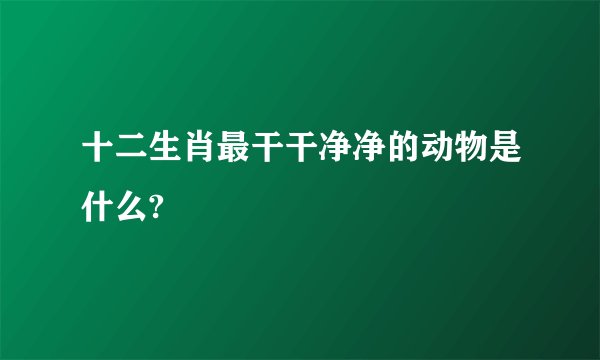 十二生肖最干干净净的动物是什么?