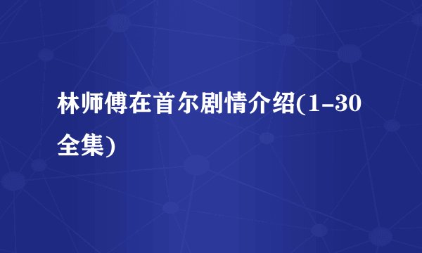 林师傅在首尔剧情介绍(1-30全集)