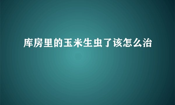 库房里的玉米生虫了该怎么治