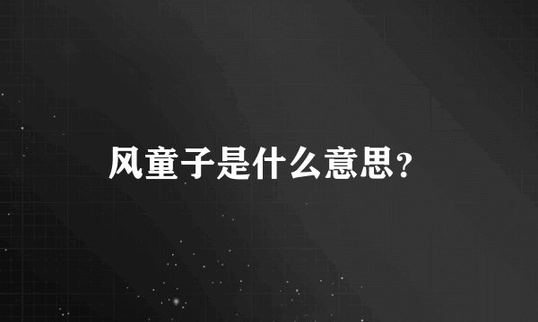 风童子是什么意思？