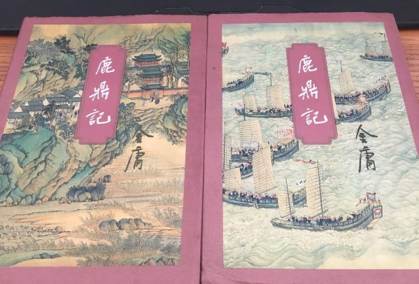 有关假太后龙儿的小说