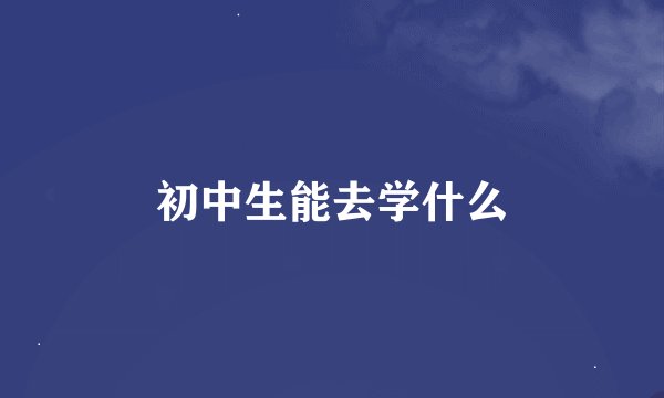 初中生能去学什么