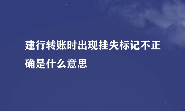 建行转账时出现挂失标记不正确是什么意思