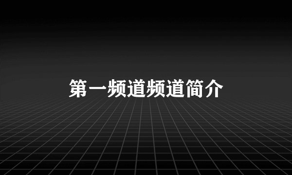 第一频道频道简介