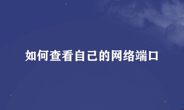 如何查看自己的网络端口