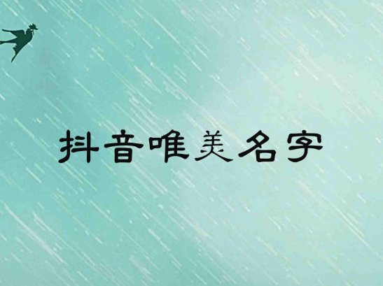 抖音名称. 昵称女