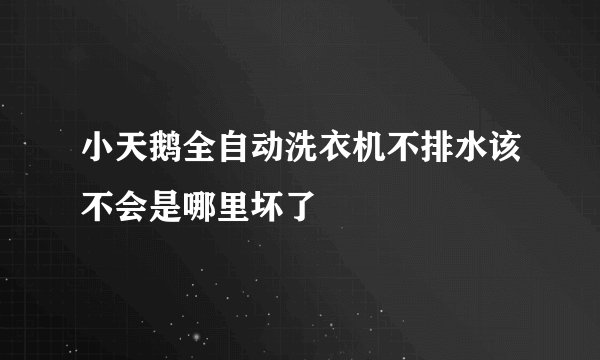 小天鹅全自动洗衣机不排水该不会是哪里坏了