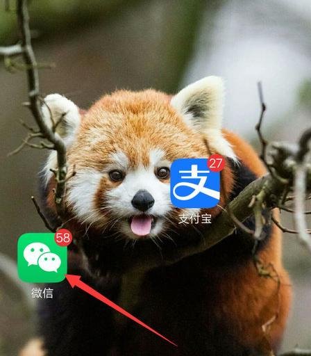 云南高考录取情况怎么查询