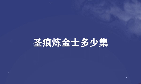 圣痕炼金士多少集