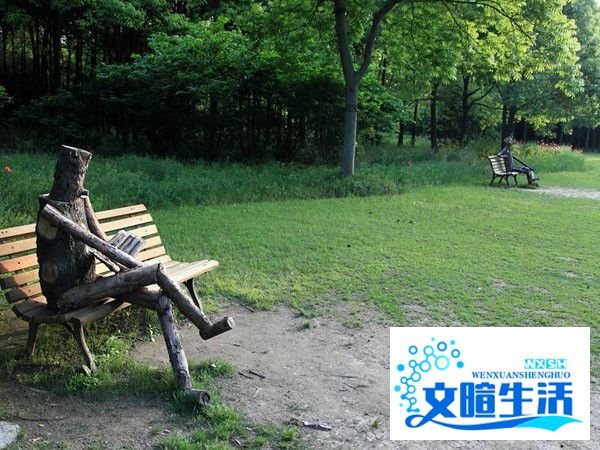滨江森林公园游玩攻略