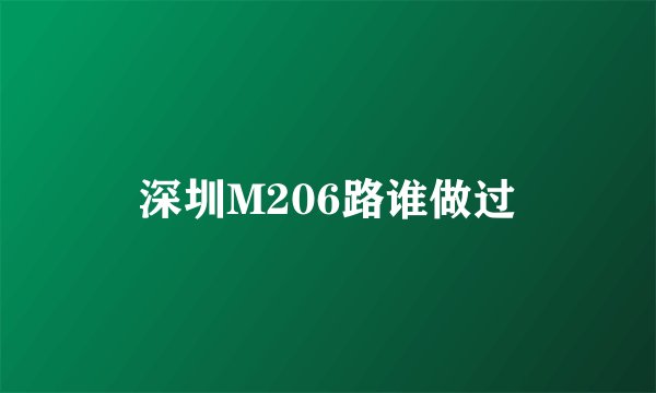 深圳M206路谁做过