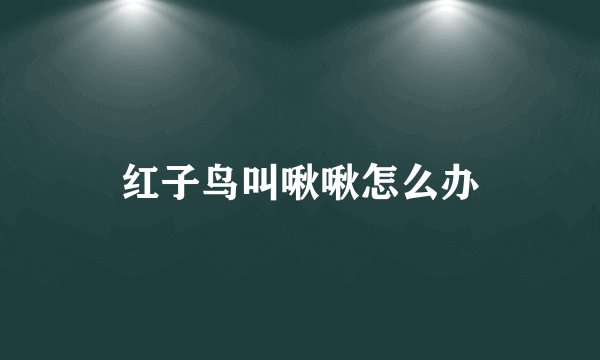 红子鸟叫啾啾怎么办