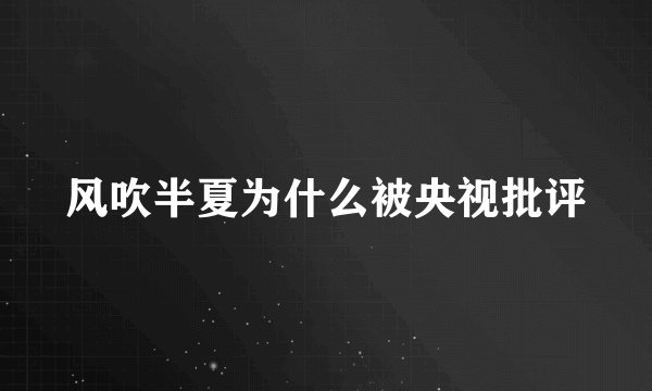 风吹半夏为什么被央视批评