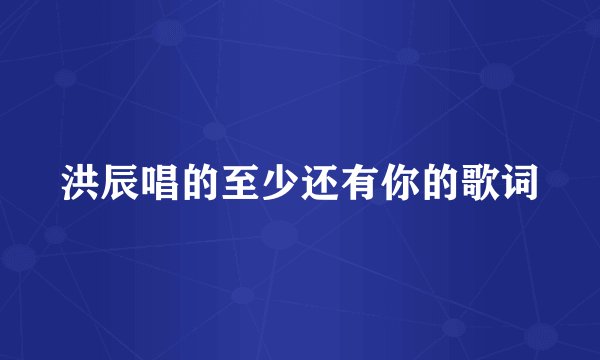 洪辰唱的至少还有你的歌词