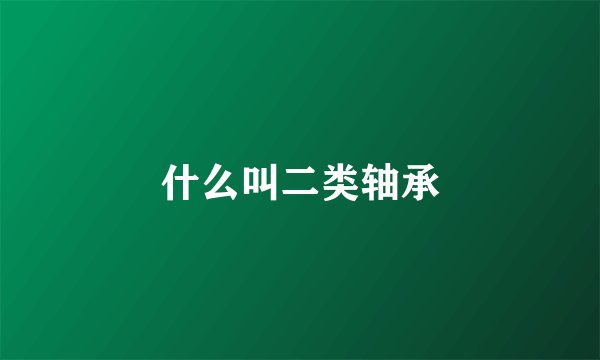 什么叫二类轴承