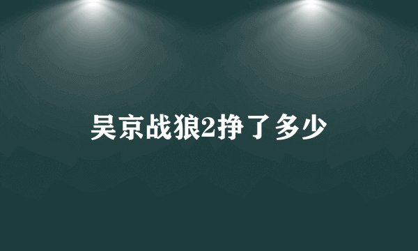 吴京战狼2挣了多少