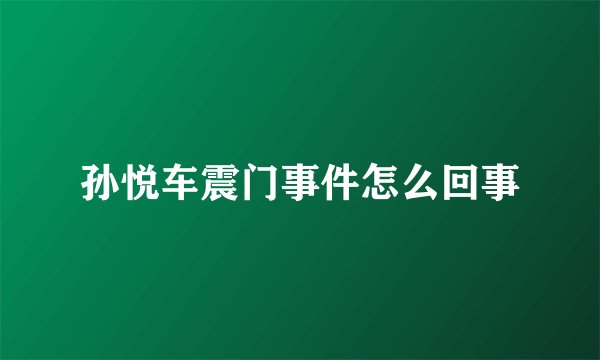 孙悦车震门事件怎么回事