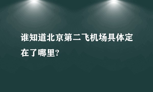 谁知道北京第二飞机场具体定在了哪里?