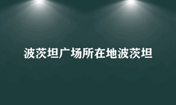 波茨坦广场所在地波茨坦