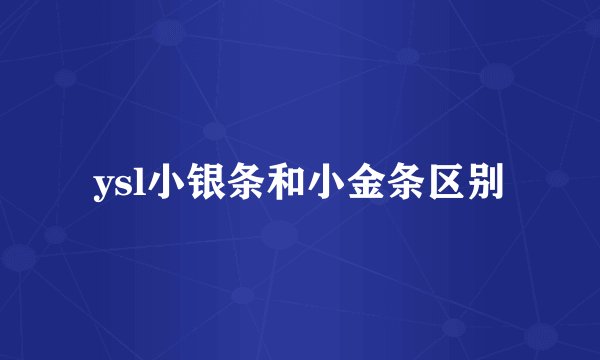 ysl小银条和小金条区别