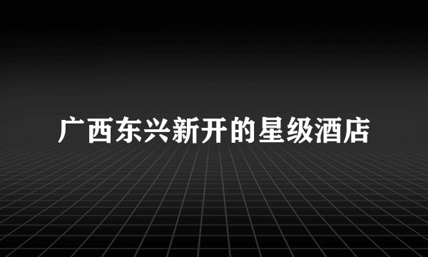 广西东兴新开的星级酒店
