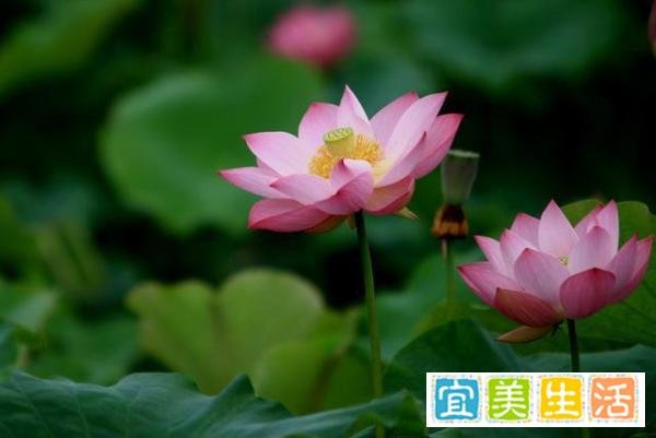 真正的聪明人，都会“留一手”