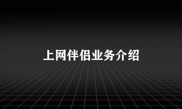 上网伴侣业务介绍