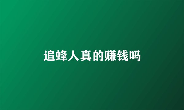追蜂人真的赚钱吗