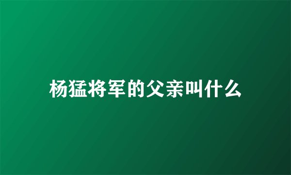 杨猛将军的父亲叫什么
