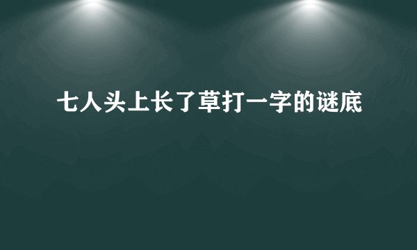 七人头上长了草打一字的谜底