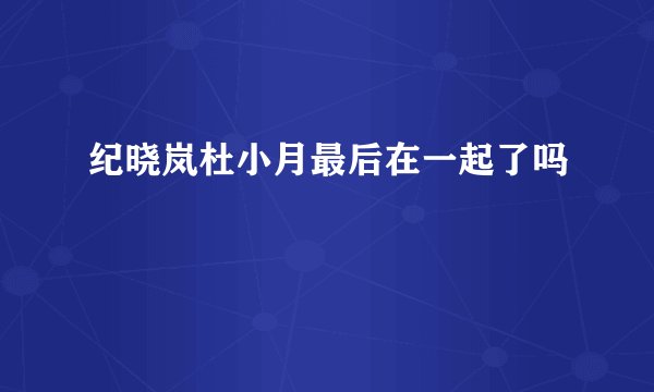 纪晓岚杜小月最后在一起了吗