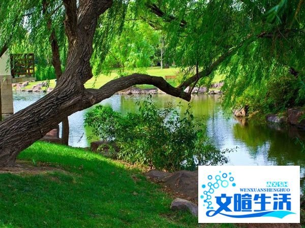 滨江森林公园游玩攻略
