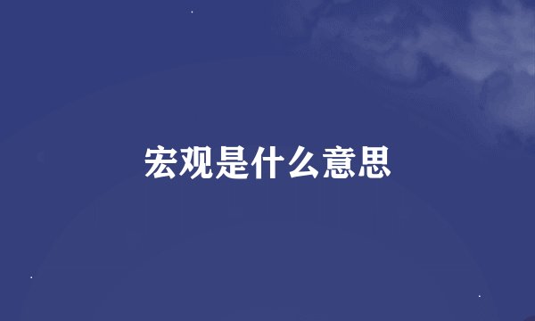 宏观是什么意思