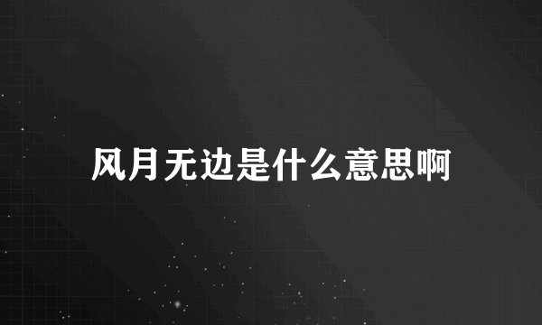 风月无边是什么意思啊