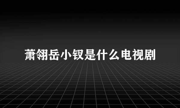 萧翎岳小钗是什么电视剧