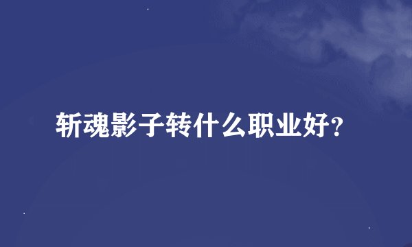 斩魂影子转什么职业好？