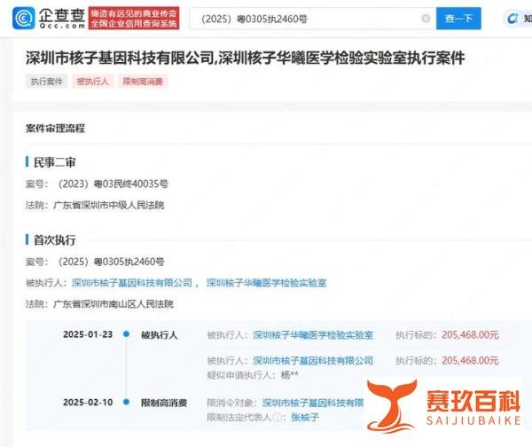 “核酸大王”张核子被限高，因拒不履行20余万债务成“老赖”