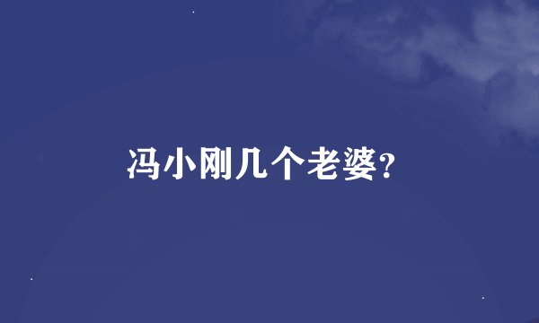 冯小刚几个老婆？