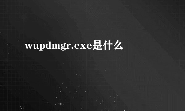 wupdmgr.exe是什么