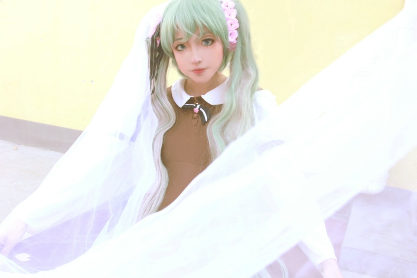 初音未来从头到尾都是喵喵喵的是什么歌？