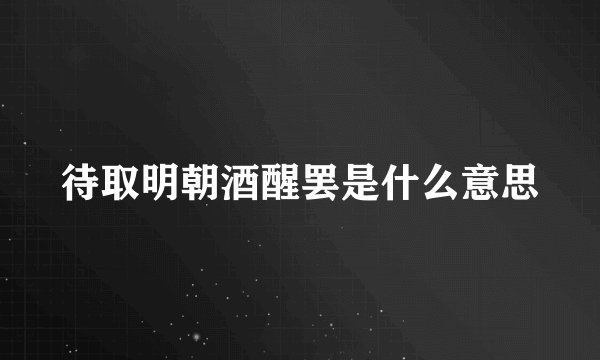 待取明朝酒醒罢是什么意思