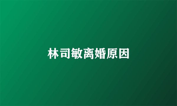 林司敏离婚原因