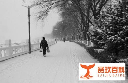 他生前默默无闻，穷困潦倒靠写网文为生，死后却轰传天下名动一时
